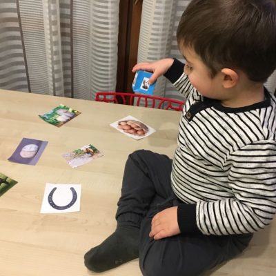 Cubo degli animali fai da te: come realizzarlo