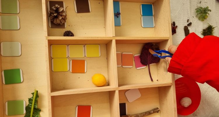 attività orticoltura terapeutica con i colori