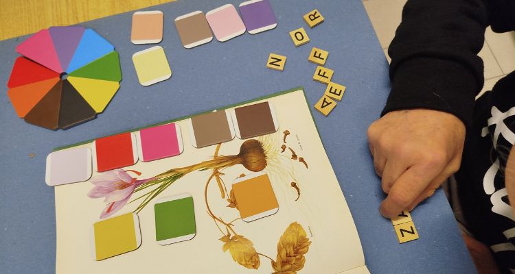 attività colori orticoltura terapeutica