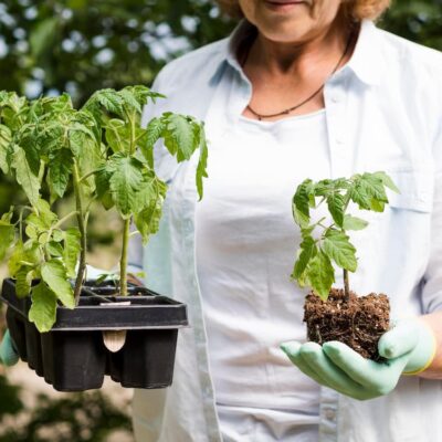 Orticoltura terapeutica: cosa serve per cominciare con l’ortoterapia per persone con disabilità