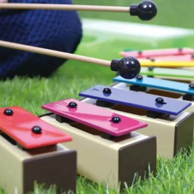 Carta del Docente e strumenti musicali: 7 kit essenziali per la didattica e il laboratorio sonoro