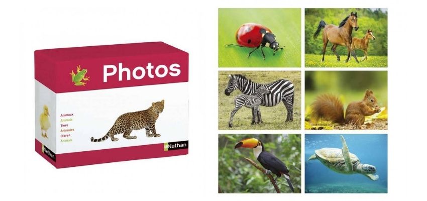 Maxi foto animali per esercizi di stimolazione cognitiva per anziani
