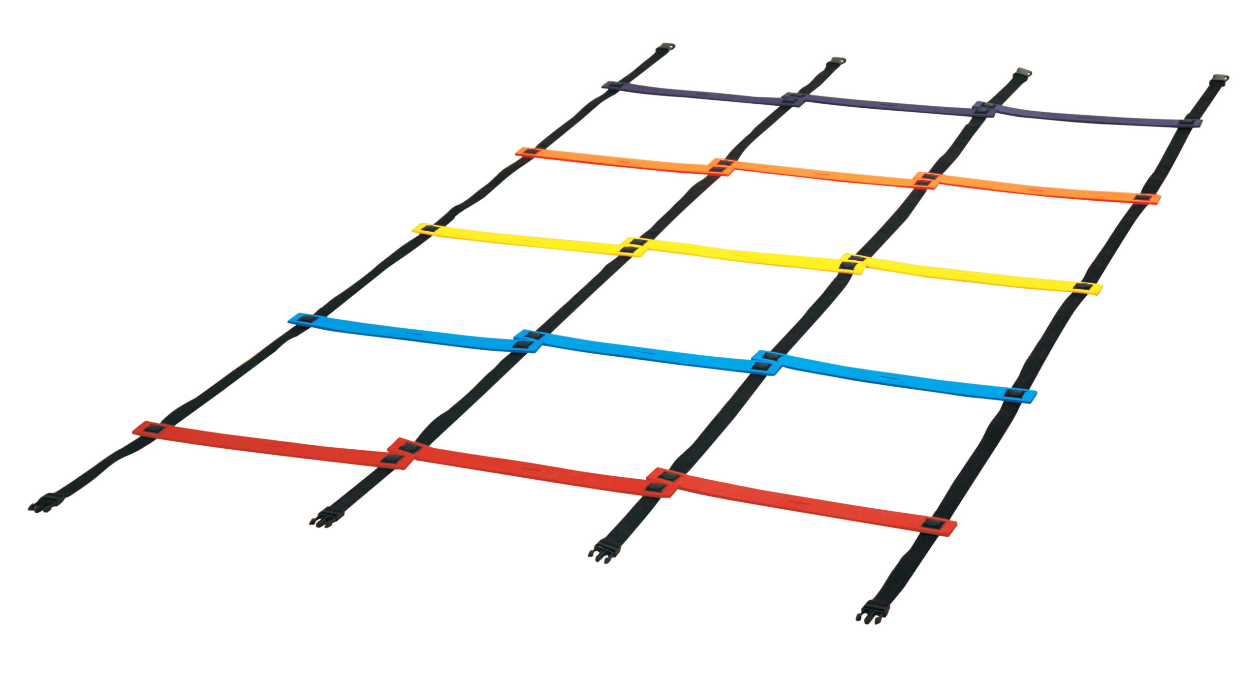 Percorso propriocettivo con il Quadro Agility Borgione